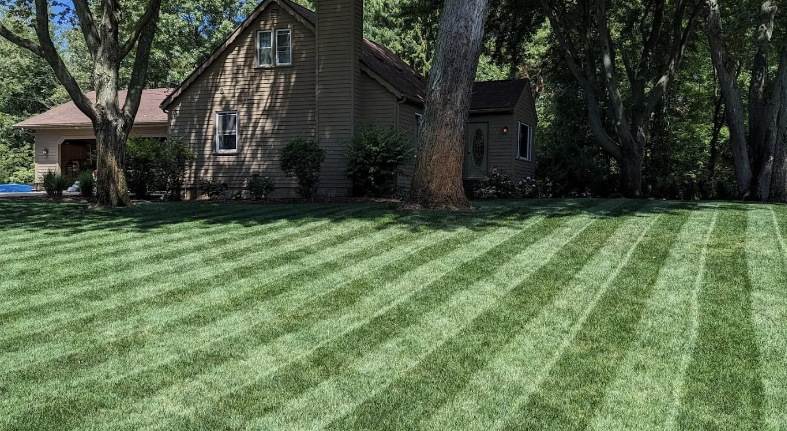 Spring Lawn Care Project